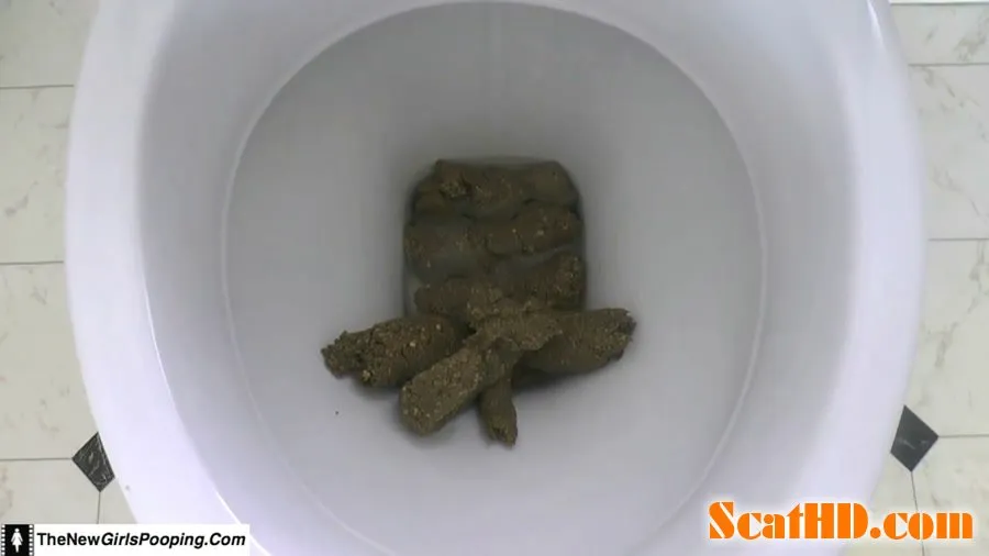 ShitGirl - Toilet Destroyed In 5 Mins [FullHD 1080p]