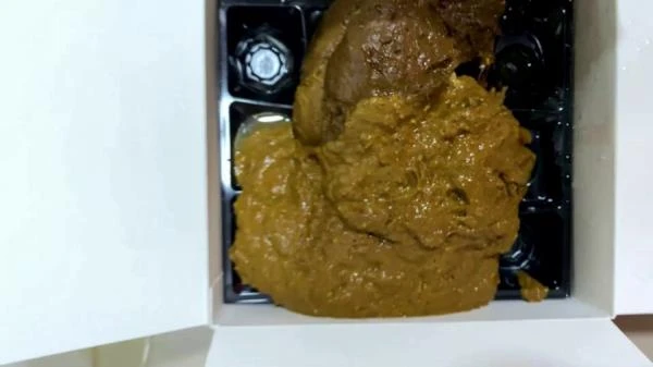 Large - Poop in a cardboard box [FullHD 1080p]