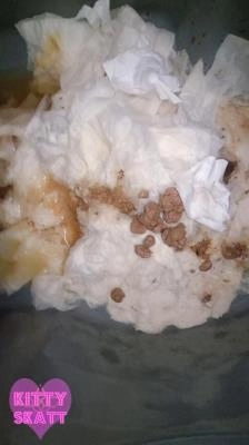 Kitty Skatt - Festival Constipation [UltraHD 2K]