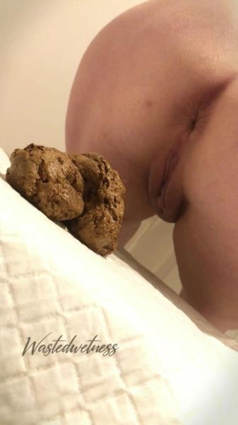 Wastedwetness - Sitting And Shitting [FullHD 1080p]