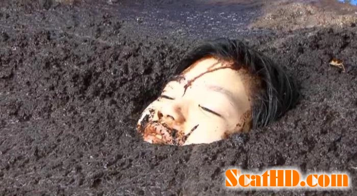 JAV - JAV - Cow shit Vol.02 [DVDRip]