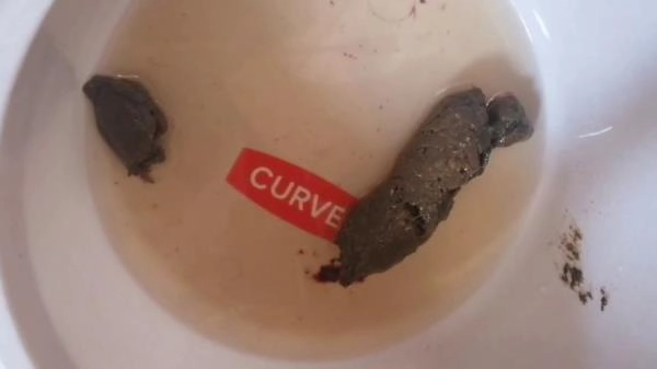 Mistress Jardena - Bitchs meal [HD 720p]