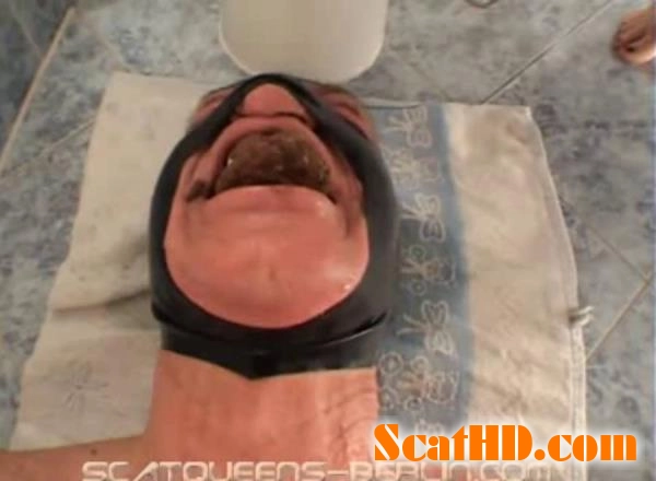 Lady Missy and Friends in Goofy Tag Scat Sensations [SD] download from ScatHD.com 