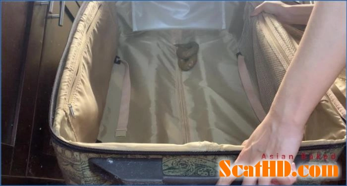 Download Marinayam19's Solo Dildo Adventure: Shit in Suitcase Drama Scathd.com