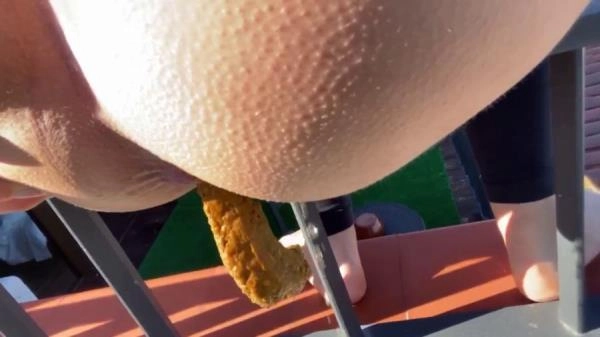 Linda aka VeganLinda - Crazy Shit On Rooftop-Railing (Desperation) [HD 720p] download from ScatHD.com 