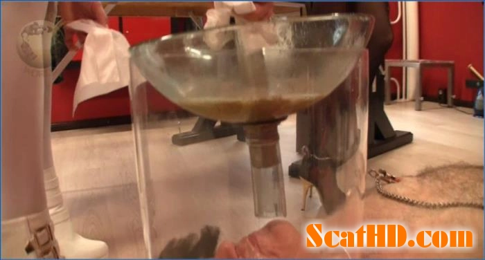 Intense Kaviar Orgy: Special Puke Piss Spit Dinner in FullHD 1080p download from ScatHD.com 