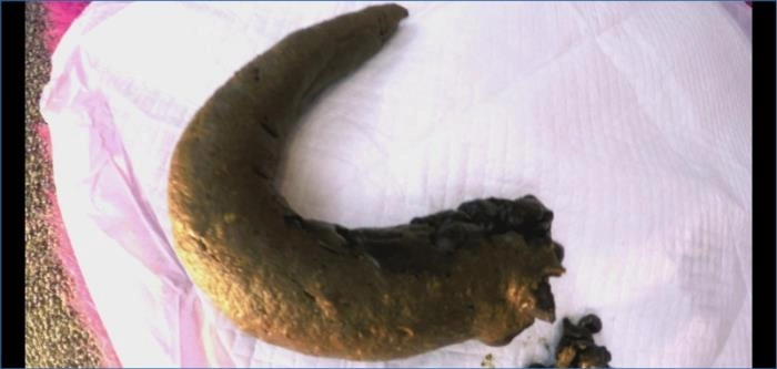 LoveRachelle2's Scat Fetish and Toy Play in 4K UltraHD download from ScatHD.com 