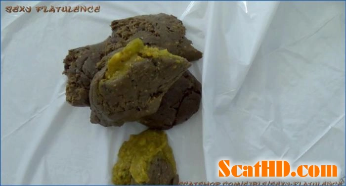 EFRO Mastery with Stand Up Poos in FullHD on Scat-Shop download from ScatHD.com 