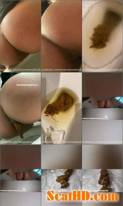 Download BrownSensation8 Ultimate Scat and Pissing Compilation Scathd.com