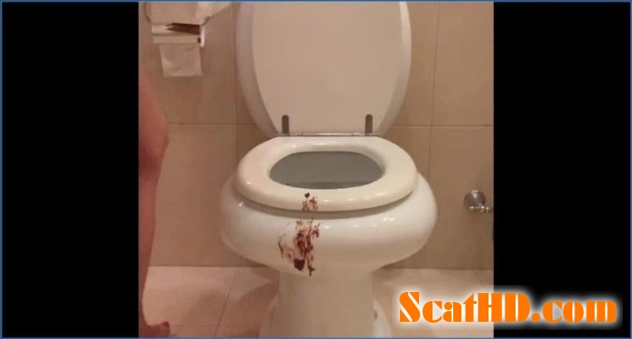 Mistress Lily Dominates Shitty Hotel Toilet in Scat-Shop Exclusive