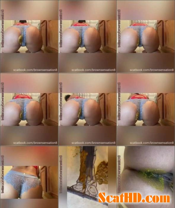 Scatbook Exclusive: BrownSensation8's Panty Scat Mastery download from ScatHD.com 