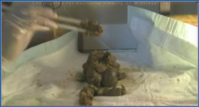 "Exclusive Bossy Delilah T Kaka ScatShop Mastery Video" download from ScatHD.com 