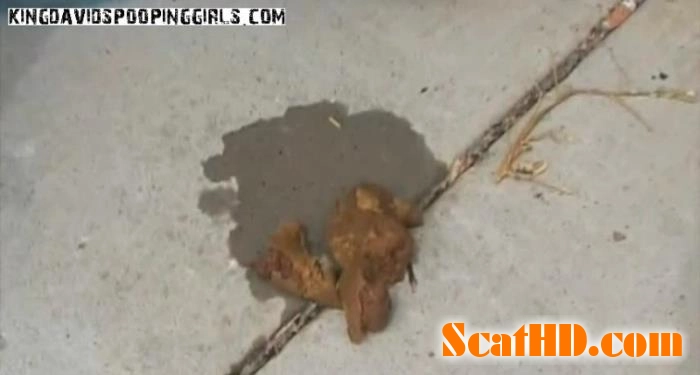 Daisy Outdoor Dump with Alina, Demi, Aspen in KingDavids Exclusive download from ScatHD.com 