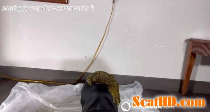 BrownSensation8's Exclusive Scatbook Toilet Session in HD download from ScatHD.com 
