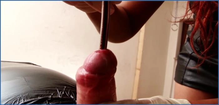 Lady Amy and Lady Atropa Dominate Toilet Slave in Exclusive Scatqueens-Berlin Video download from ScatHD.com 