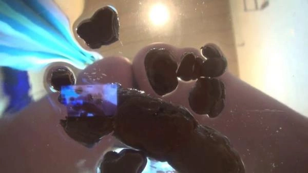 MariaDevot - KV I Shit In Your Face [FullHD 1080p]