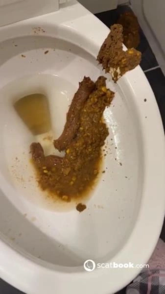 Bossy Delilah - Bossys Bathroom Blunder A Splattered Catastrophe [SD]