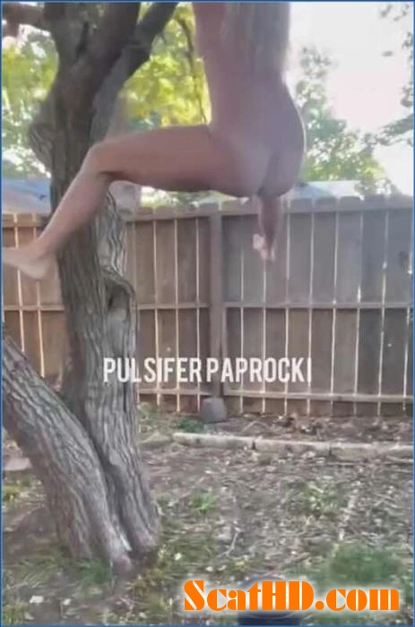 Pulsifer Paprocki's Epic Tree-Top Scat and Piss Session in FullHD download from ScatHD.com 