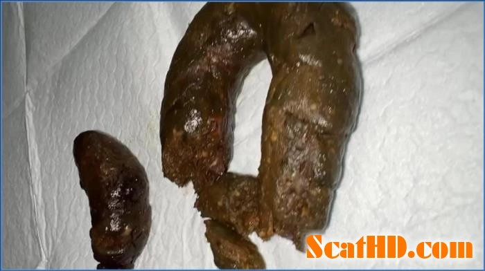 Download Miss Raines Scat and Watersports Collection in HD Scathd.com