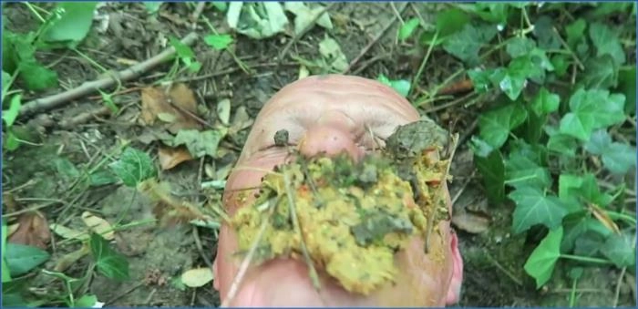 Download Miss Medea Mortelle in Intense German Scat and Anal Action (FullHD 1080p) Scathd.com