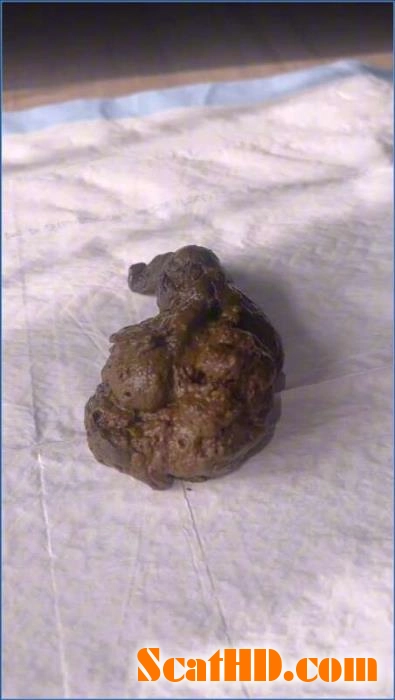 Miss Raines' Intense Watersports and Scat Collection in HD 720p