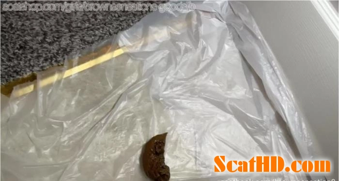BrownSensation8 Masturbates with Big Toys: Scat and Pissing in HD
