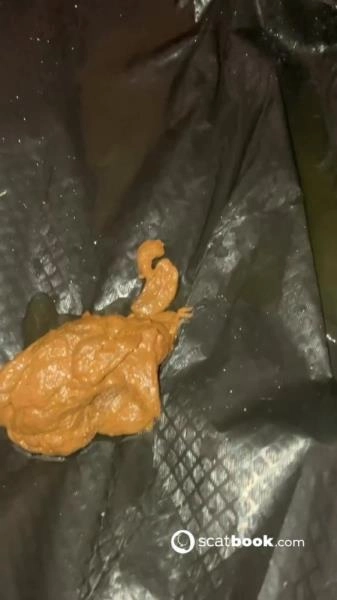 Hairy Pooping Butthole [SD] Poop, Amateur download from ScatHD.com 