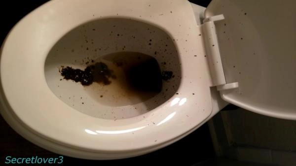 Toilet Spray [FullHD 1080p] Poop, Amateur