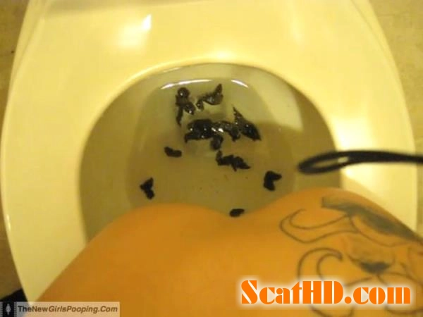 Scatting Girl - 2 [SD] Milf, Homemade download from ScatHD.com 