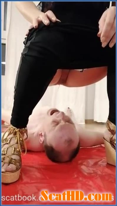 Get you piss before go out - Scat, Pissing [SiteRip] 2025 download from ScatHD.com 