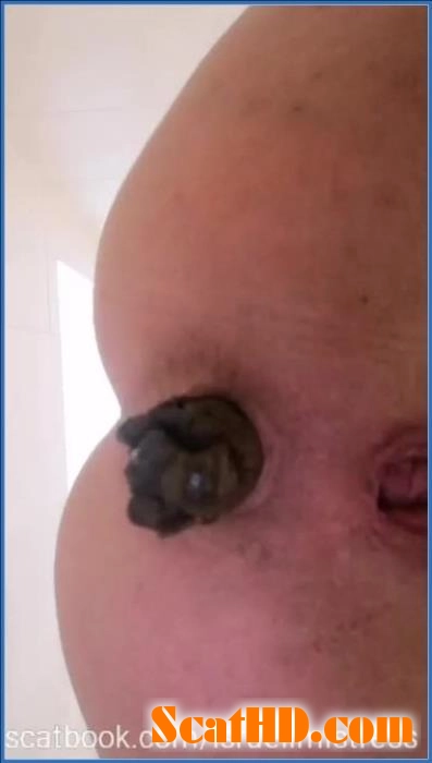 Lie down and open your disgusting mouth pig - Scat, Pissing [SiteRip] 2025 download from ScatHD.com 