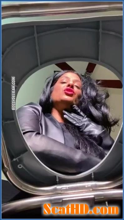 Aggressive Latin Scat Queen - Scat, Anal [SiteRip] 2025