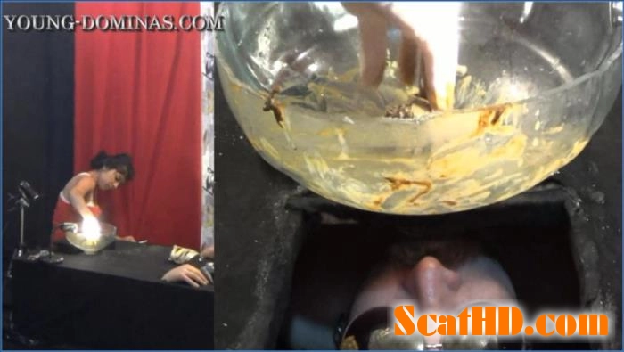 Stupid Slaves Perform Brutal Shit Eating in Black Box Poop Receiver Part 4 download from ScatHD.com 