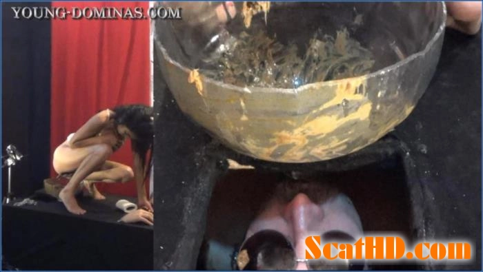 Watch Stupid Slaves Perform Shit Eating in Bizarre Facesitting Poop Receiver download from ScatHD.com 