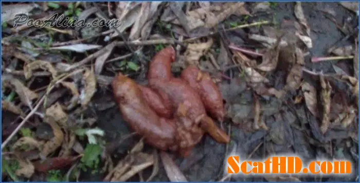 Autumn Forest Scat Fetish with Alina (HD) download from ScatHD.com 