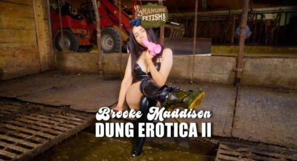 Scat Dung Erotica 2 [HD 720p] Cow Shit Fetish download from ScatHD.com 