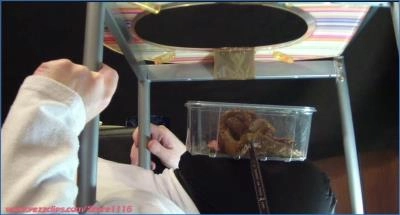 Teens Femdom Scat: Chocolate Cake and Shit Eating with Human Toilet Slave