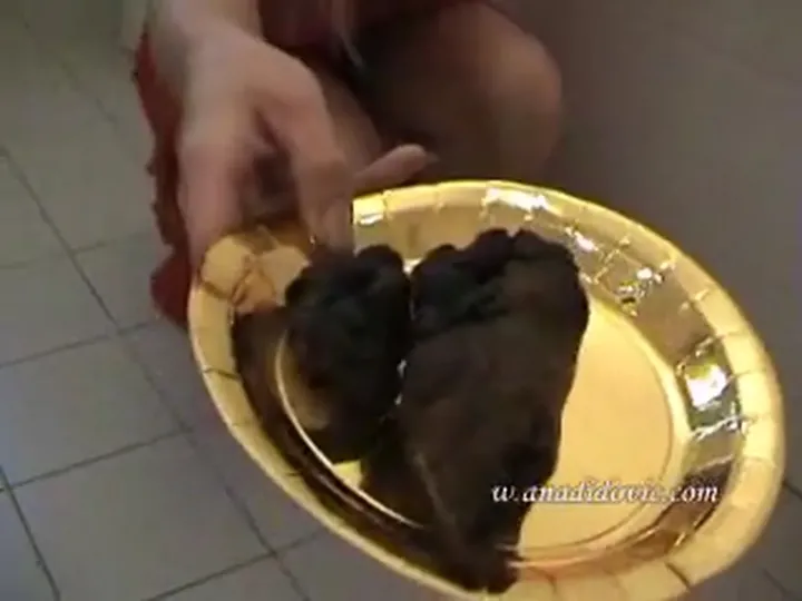 Ana Didovic Delivers a Thick, Dirty Poop Load in Early 2008 download from ScatHD.com 