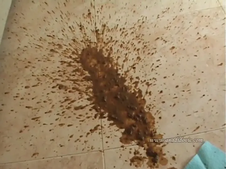Ana Didovic Takes the Throne for an Unhurried Solo Poop - Scat/Copro download from ScatHD.com 
