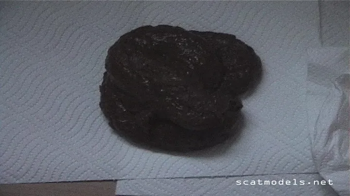 Solo Amateur Shitting and Smearing Herself in a Messy Natural Scat