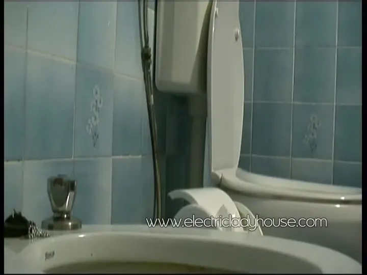 Dutch Solo Shitting Clip: A Girl's Unstaged Bathroom Visit - 2006 download from ScatHD.com 