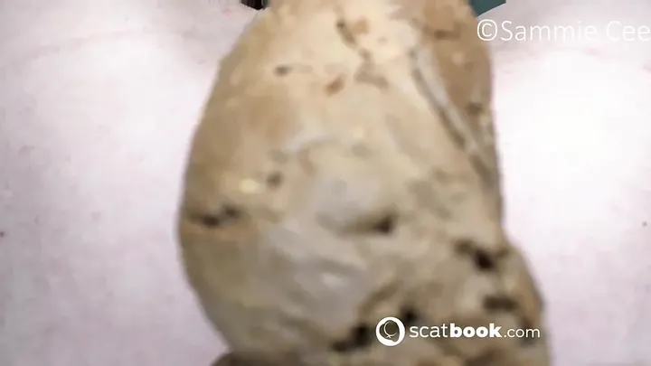 SammieCee Spreads Her Cheeks and Drops a Fresh Brown Load - Scat Solo download from ScatHD.com 