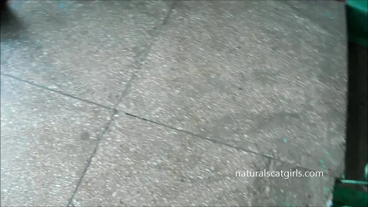 Slow and Steady Natural Scat Dump Turns into a Messy Kaviar Show