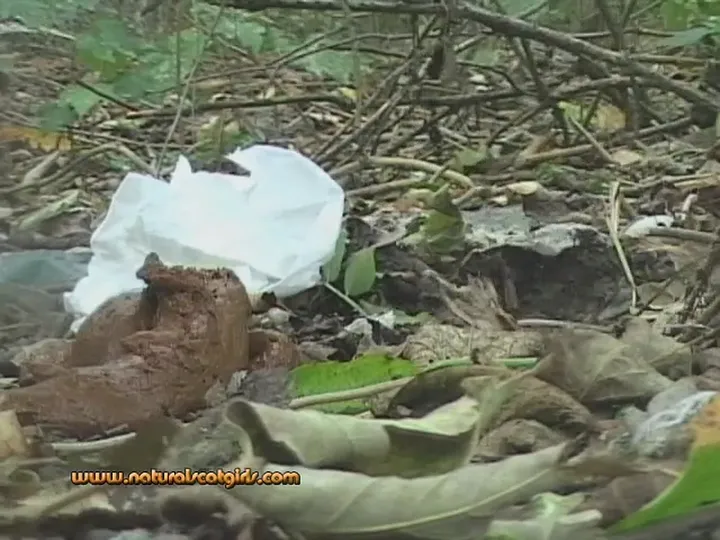 Solo Kaviar Scat: Amateur Shitting and Smearing Mess - Download download from ScatHD.com 