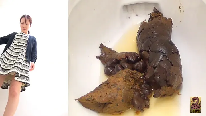 Six-Camera Full-Body Poop Drop - Extensive Scat Research [SR-044] download from ScatHD.com 
