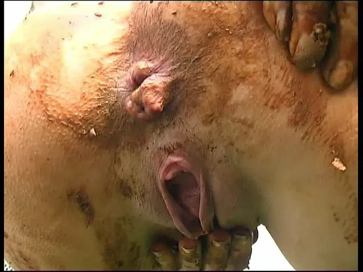 German Kaviar Solo and Group Messes Unleashed in Shitmaster 140 download from ScatHD.com 