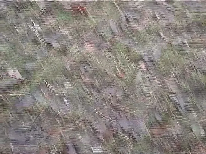 Sloppy Smearing and Brown Soaked Fun in a Messy Scat Video download from ScatHD.com 